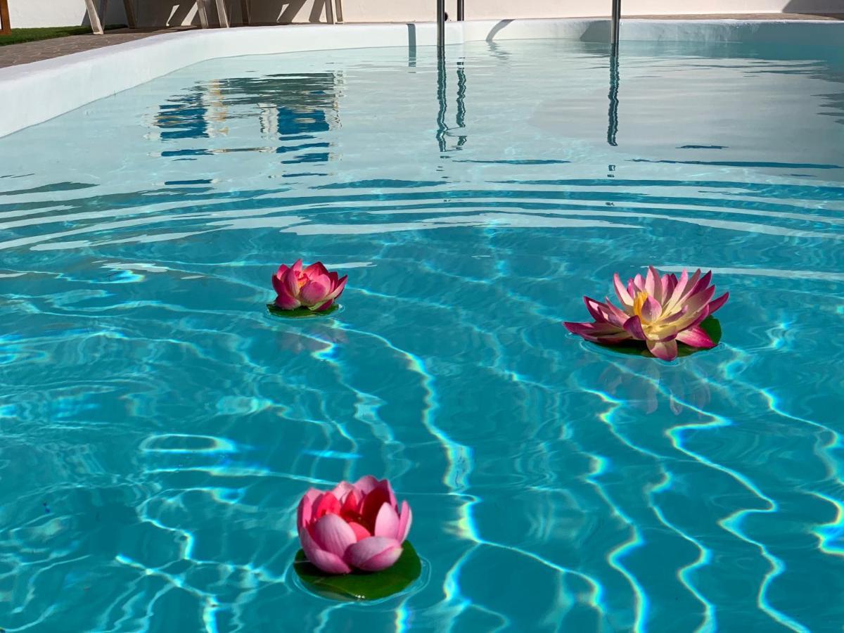 Pico Partido Villa Heated Pool Tinguaton 외부 사진